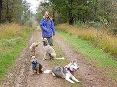 Dog walking service Brighton and Hove 0779 947 2631