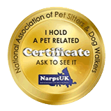 pet sitters brighton