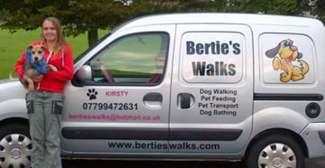 dog walking service in brighton and hove